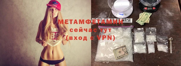шишки Белокуриха