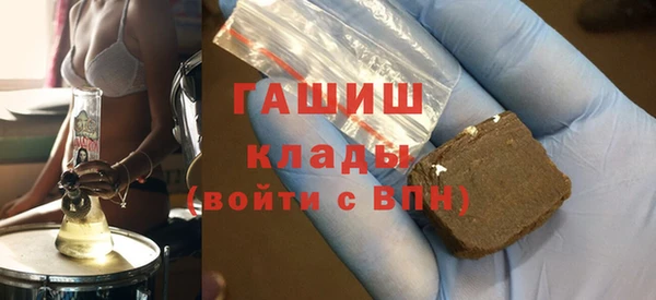 шишки Белокуриха
