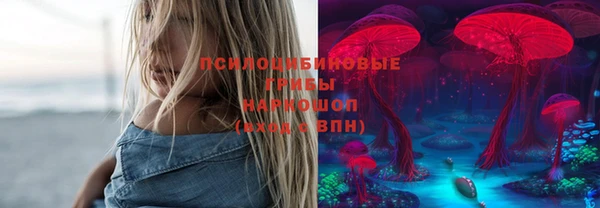 шишки Белокуриха