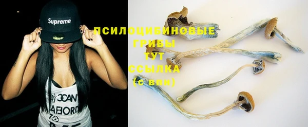ПСИЛОЦИБИНОВЫЕ ГРИБЫ Беломорск