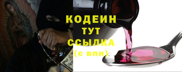 шишки Белокуриха