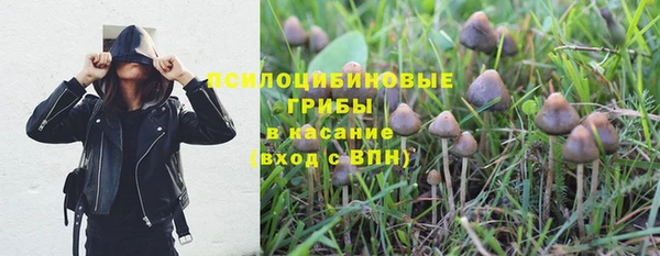шишки Белокуриха