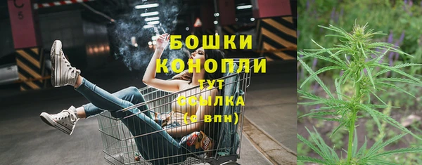ПСИЛОЦИБИНОВЫЕ ГРИБЫ Беломорск