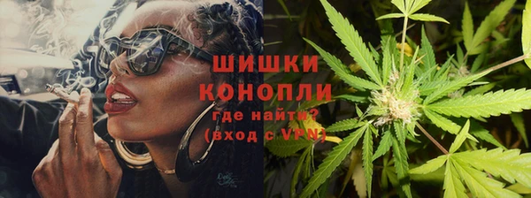 шишки Белокуриха