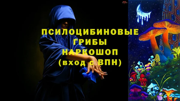 ПСИЛОЦИБИНОВЫЕ ГРИБЫ Беломорск