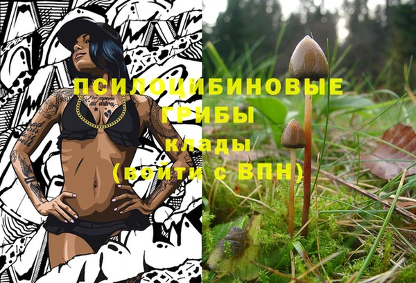 шишки Белокуриха